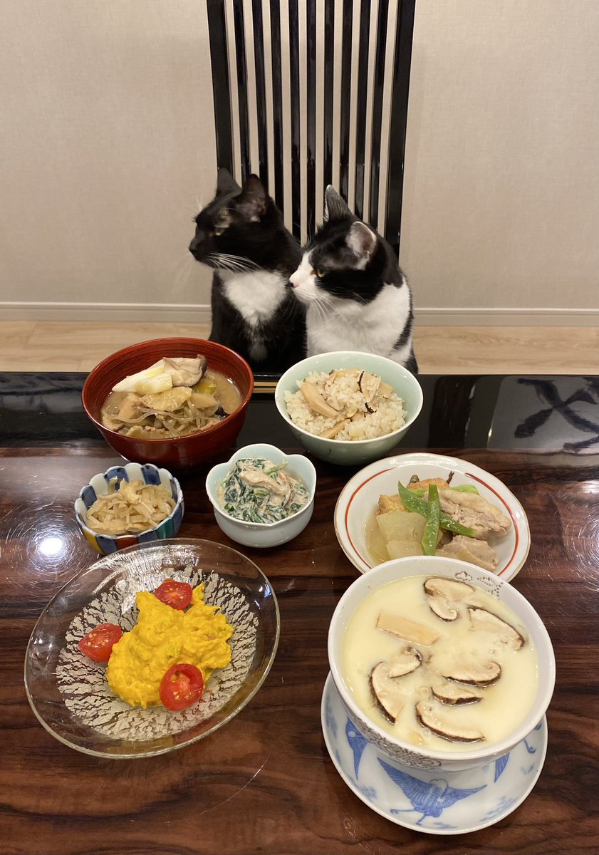 fuji_ayako's tweet photo. 「マツタケ？きゃっか！」 https://t.co/nEAWBotmIk