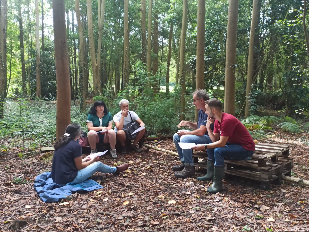 Colegio Edes tweet media