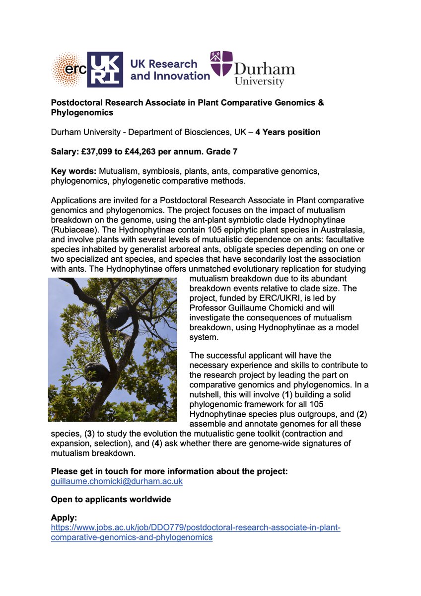 !JOB ALERT! 4-YEAR postdoc in my lab in plant mutualism comparative genomics & phylogenomics Come work with us to unravel the genomic consequences of mutualism breakdown in one of the most charismatic systems: epiphytic ant/plant symbioses (Hydnophytinae, Rubiaceae) Please RT!