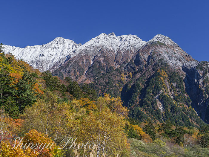 紅葉の樹林と雪の前穂高岳、明神岳〜2023.10.22長野県上高地