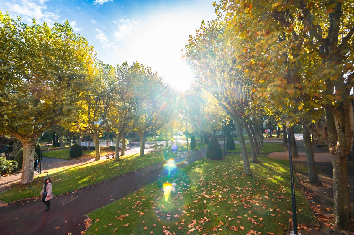 Saint-Chamond tweet media