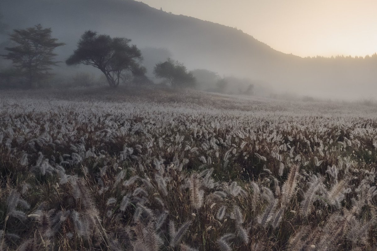 (((o(*ﾟ▽ﾟ*)o)))