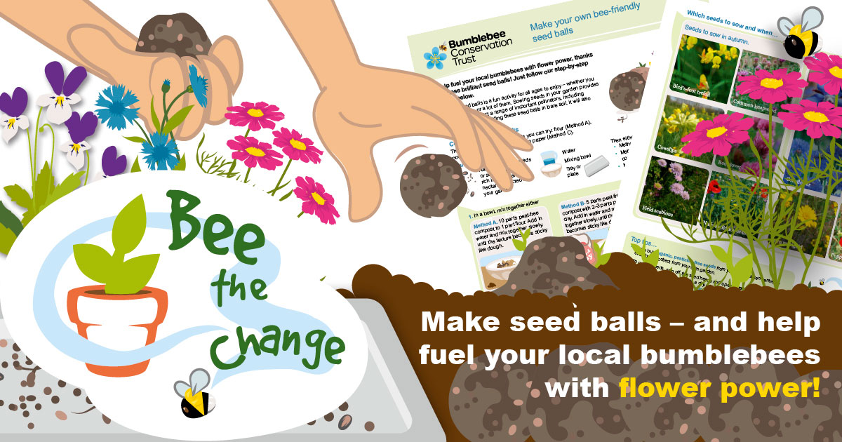 🌱 Making bee-friendly seed balls is a fun #autumn activity which all ages can enjoy &amp; perfect for October #HalfTerm! 

Get your FREE step-by-step guide featuring 3 easy methods 👉 ow.ly/25BT50PNRub 

#BeeTheChange #MakeYourOwn #wildflowers
