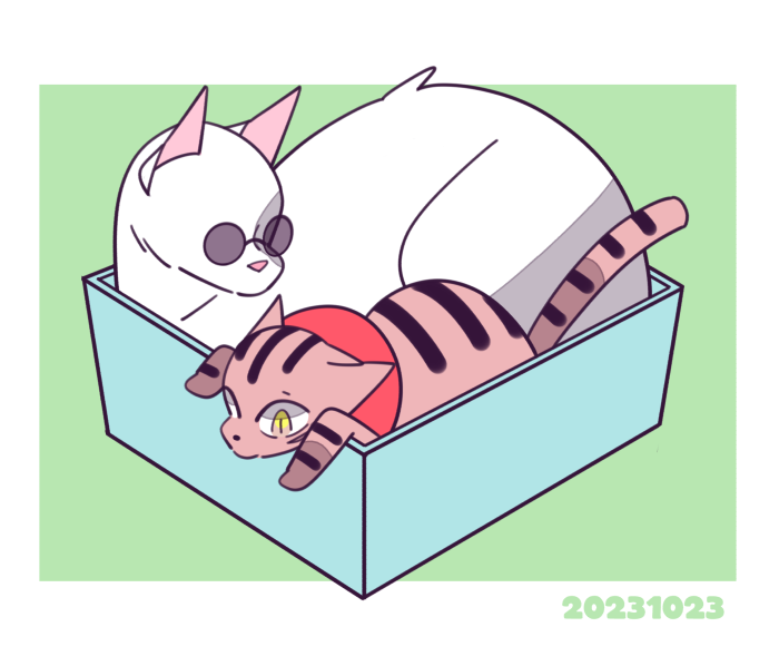 cat no humans dated yellow eyes box sunglasses in container  illustration images