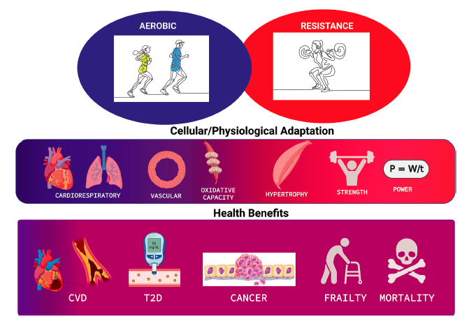 Jackson Fyfe, PhD tweet media