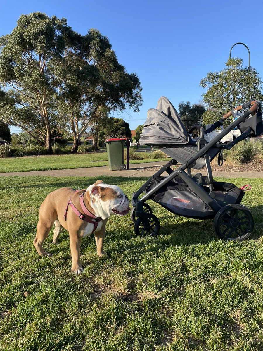 Always protecting the pram.