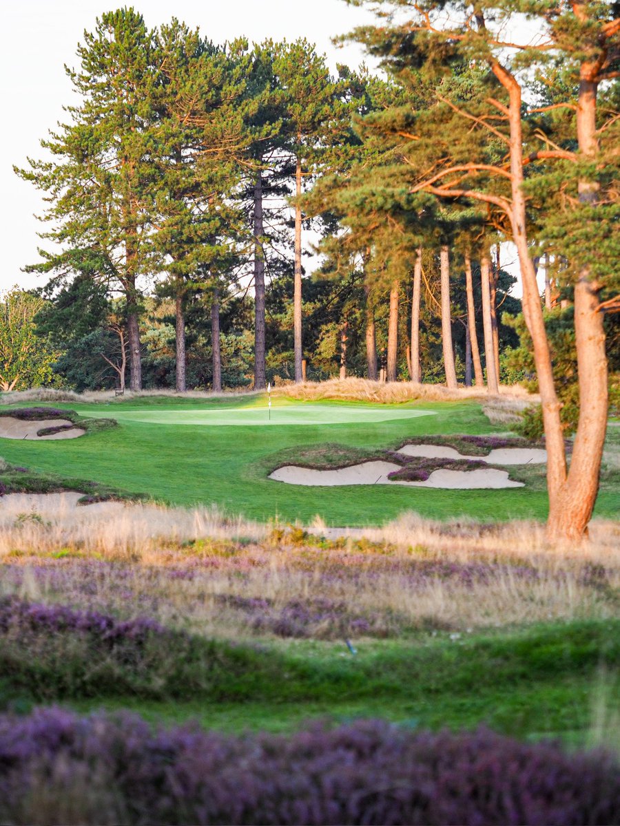 Looking through to the 12th ⛳️
<a href="/PurdisHeathGolf/">Ipswich Golf Club</a>