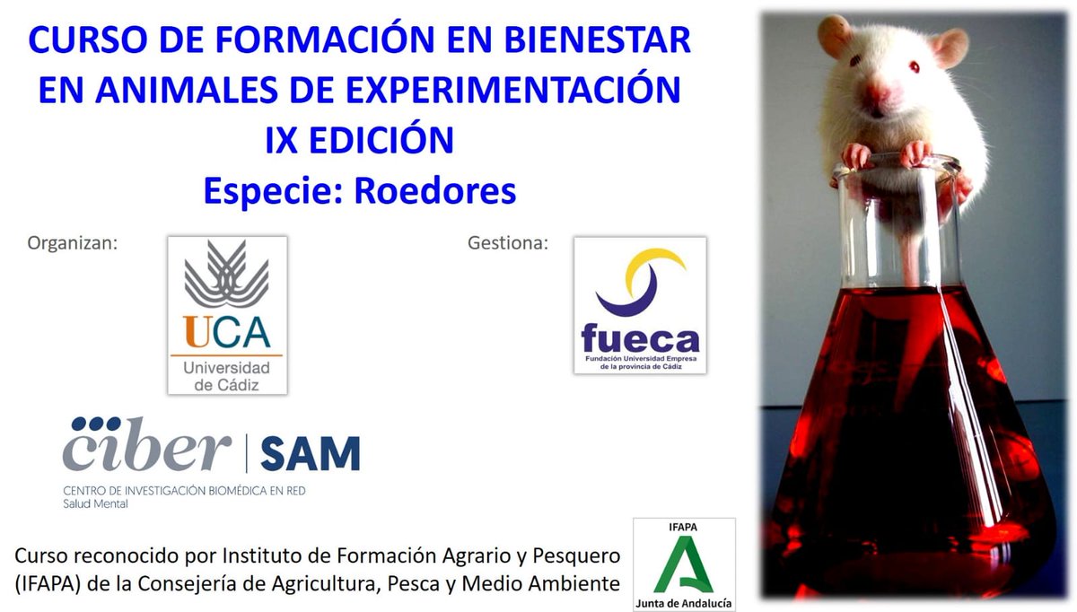 Neuropsicofarmacología molecular - UCM tweet media