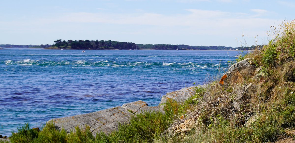 "👋 Bienvenue sur « La mer en débat », organisé par la @cndpdebatpublic !

🌊 Avenir des mers &amp; océans, biodiversité, éolien, littoral... RDV de nov. 2023 à avril 2024 ! 

📢 + d'infos sur notre site : swll.to/la-mer-en-debat

#debatpublic #mer