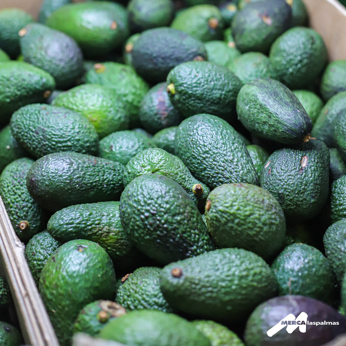 mercalaspalmas's tweet photo. 🤩 ¿Has probado a usar aguacate en lugar de mantequilla?

El 🥑 contiene grasas saludables, a diferencia de la mantequilla cuyas grasas son saturadas. 💪🏼 Además, su valor nutricional es mayor y contienen menos calorías.

Aprovecha, ¡están de temporada! 👏🏼

#Mercalaspalmas https://t.co/tkOOLe5lXy