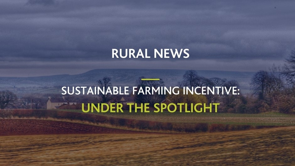 youngsRPS tweet media