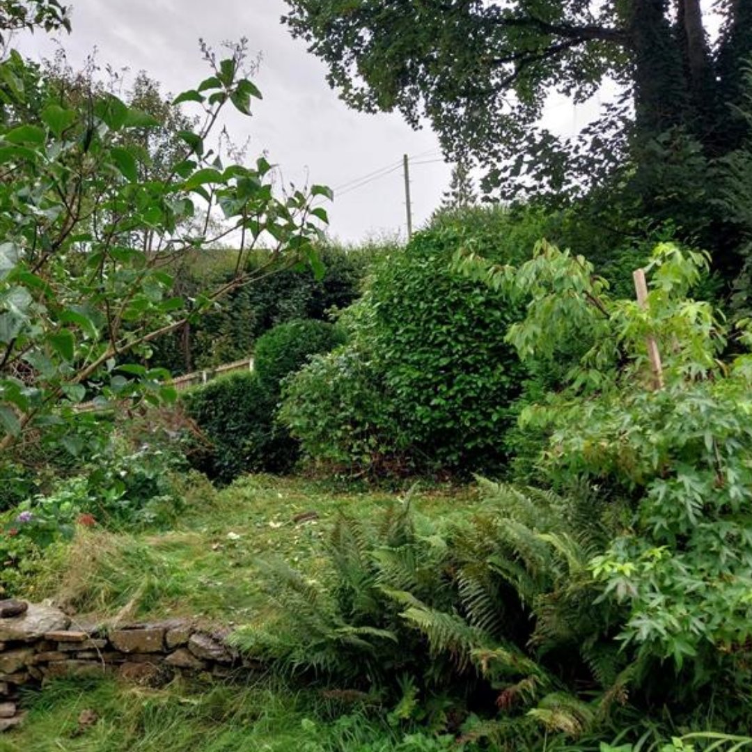 Thank you to <a href="/boconline/">BOConline</a> for revitalizing our Safe Space garden💕

Safe Space is a project designed to support young people struggling with their #mentalhealth.

Thanks to their hard work, young people can enjoy a calm and relaxing outdoor environment to reflect in.

#Sheffield