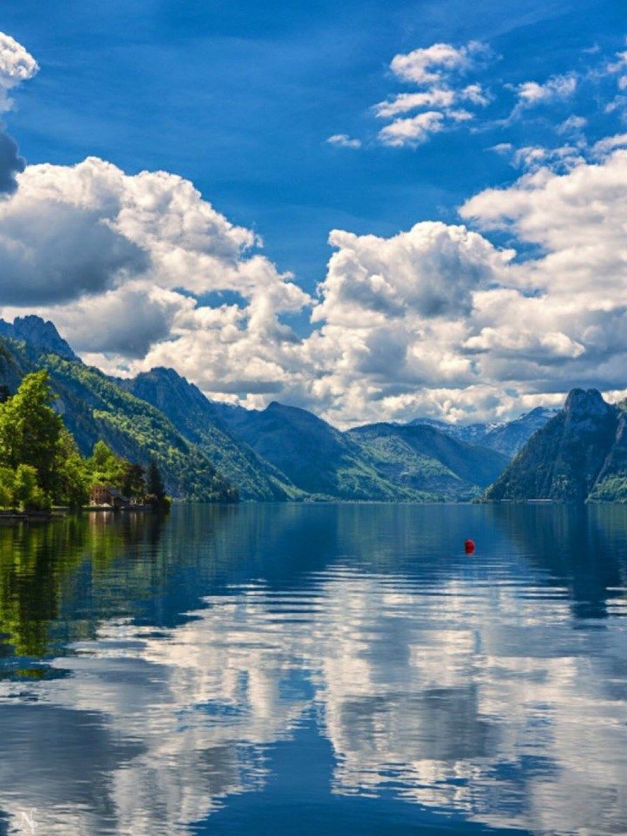 peter lockett tweet media