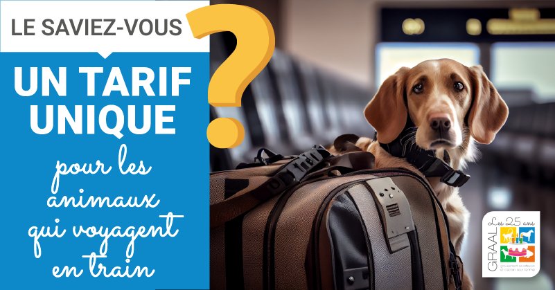 [LE SAVIEZ-VOUS?] 
Désormais, le billet de train #SNCF de votre compagnon vous coûtera 7€ quel que soit son poids! Le #GRAAL salue cette initiative et espère que cela facilitera les voyages avec #animauxdecompagnie et limitera le nombre d’abandons.

ℹ️: bit.ly/SNCFVoyageAnim…