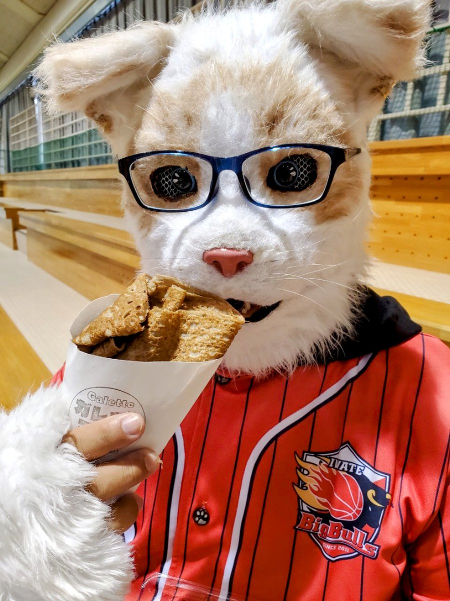 abecchifc178's tweet photo. 試合前の腹ごしらえ✨
ニャンウィズは食べられるものが限られてる為 #ガレットマニア さんのベーコンチーズを食べましたニャ😺
秘書たちもガレットと #ハルムチャウダー 食べてましたニャ✨
さぁ~応援頑張るニャ❗️
モンちゃんと共に #for22
Go Big Bulls‼️
#岩手ビッグブルズ https://t.co/beZIRG6MRY