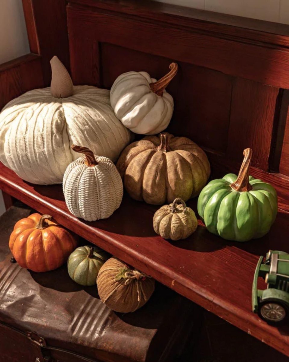 Up to 50% OFF HALLOWEEN in the Carraig Donn Midseason Sale!🎃🍂  Limited stock left online, but be sure to check your local Carraig Donn store for more. 

Shop here:
bit.ly/3R3yos5
-