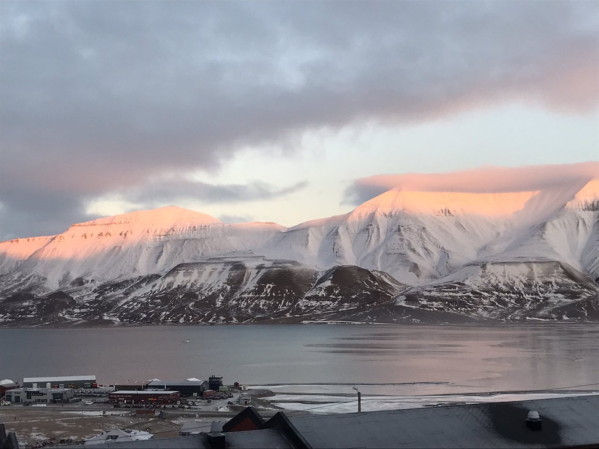 The polar night is coming 💫. Light at noon #LivingintheArctic