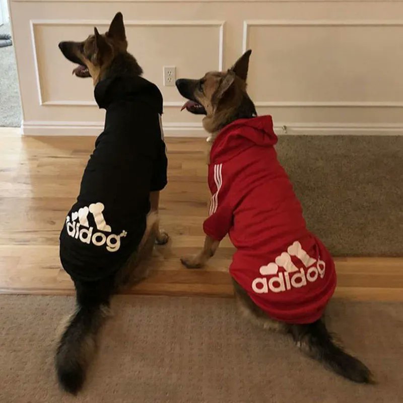 AtKimis's tweet photo. 🦊⛄Stay ahead of the cold weather with our Winter Hoodies for Dogs, designed to keep your fur baby warm, comfy, and stylish throughout the colder months.🦊⛄

Check it out here
https://t.co/uVzxgcLIhS

But for 75$ and get one item Free!
#dogfashion #dogfashionista https://t.co/SyDDSHGIVy