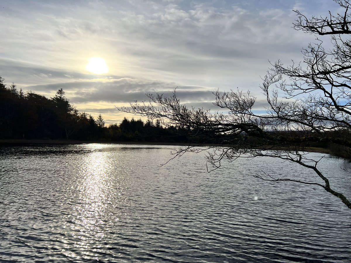 ewandg's tweet image. Lily Loch and Loch Allan this morning #islay #isleofislay #autumn #autumnwalks #islandlife #dunlossitestate
