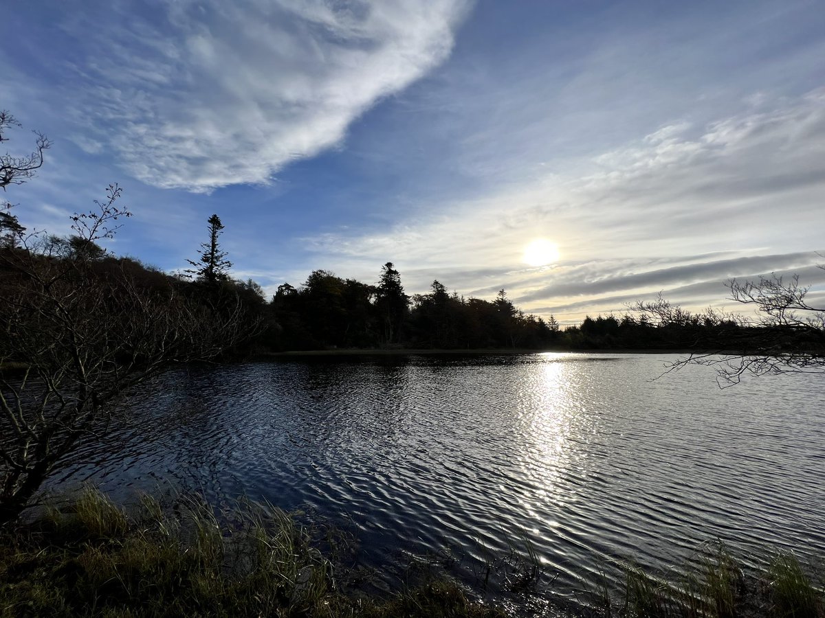 ewandg's tweet image. Lily Loch and Loch Allan this morning #islay #isleofislay #autumn #autumnwalks #islandlife #dunlossitestate