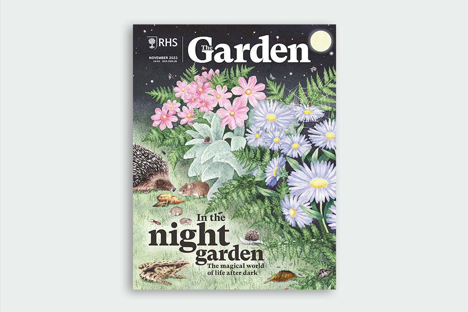 Decorative Aggregates tweet media