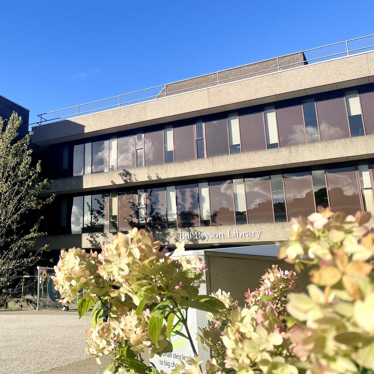 dulib's tweet photo. This #MindfulMonday, take a moment to appreciate the beauty around you, and make sure to give yourself some well-deserved study breaks 💜🌸
#DULib #WellBEEing https://t.co/hbSlTjWH3V
