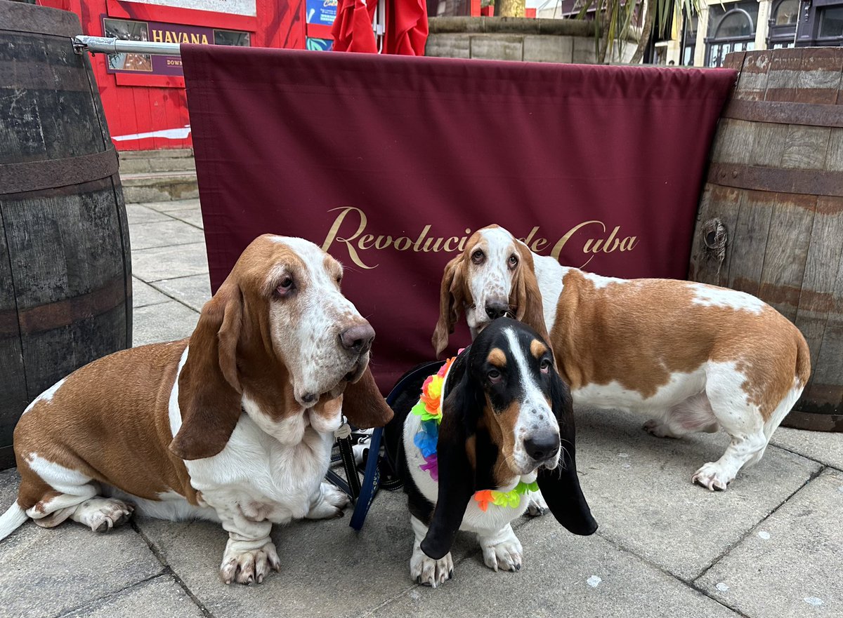 Chris Purvis tweet media