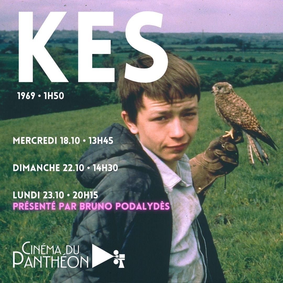 KEN LOACH ✨Avant-dernier jour !
Ce lundi, ne manquez pas 𝗞𝗘𝗦 présenté par le réalisateur Bruno Podalydès à 𝟮𝟬𝗵𝟭𝟱 !
Mais aussi 𝗜𝗧'𝗦 𝗔 𝗙𝗥𝗘𝗘 𝗪𝗢𝗥𝗟𝗗 à 13h30, 𝗝𝗜𝗠𝗠𝗬'𝗦 𝗛𝗔𝗟𝗟 à 15h30 et 𝗟𝗔𝗗𝗬𝗕𝗜𝗥𝗗 à 17h30. Dernière chance de (re)voir ces beaux films !