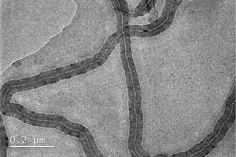 Electrochemical Systems Laboratory @ Imperial (@icl_electrochem) on Twitter photo Derek Zhu <a href="/ZhixuZhu/">Zhixu-Derek Zhu</a> from our group will be giving a lunchtime seminar <a href="/EnergyFuturesIC/">Energy Futures Lab</a> on 'Carbon Nanotube Production from CO2 via High Temperature Electrolysis' 12-1 pm, 2nd Nov. Please sign up and come along to hear about this exciting new research π imperial.ac.uk/events/167563/β¦ Derek Zhu <a href="/ZhixuZhu/">Zhixu-Derek Zhu</a> from our group will be giving a lunchtime seminar <a href="/EnergyFuturesIC/">Energy Futures Lab</a> on 'Carbon Nanotube Production from CO2 via High Temperature Electrolysis' 12-1 pm, 2nd Nov. Please sign up and come along to hear about this exciting new research π imperial.ac.uk/events/167563/β¦
