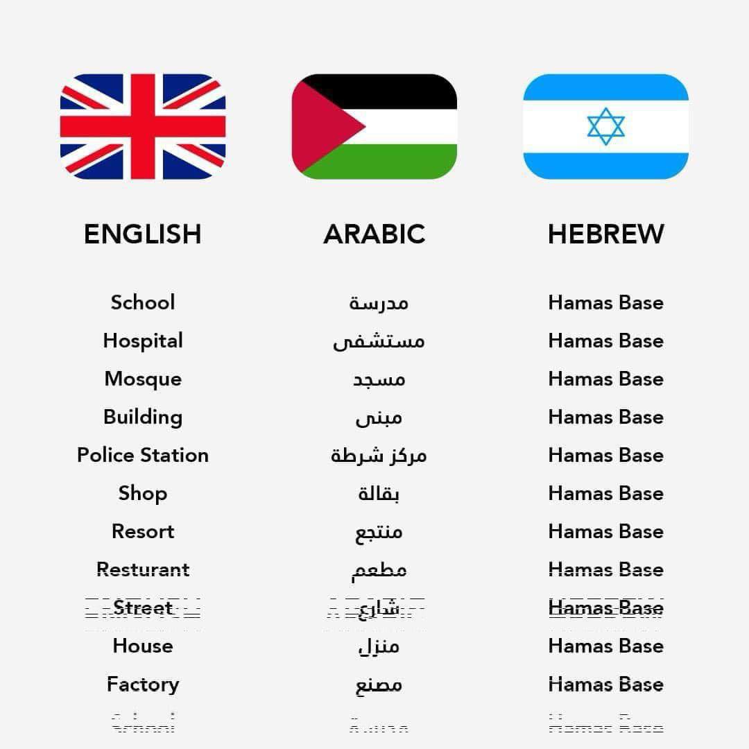 The Inside- Palestine tweet media