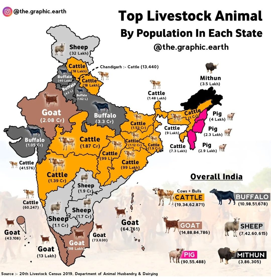 ஆடு, மாடு வளர்ப்பது அவமானம்
- பாதியறிவு திராவிடத் திரிபுகள்.

1 கிலோ ஆட்டுக்கறி - 750 - 1000 ரூபாய்

#GoatMilk  #GoatSkin
#Diary #Leather

ராஜஸ்தானில் இருந்து சென்னைக்கு ஆட்டுக்கறி வந்தது நினைவு இருக்கா?? #AnimalHusbandry