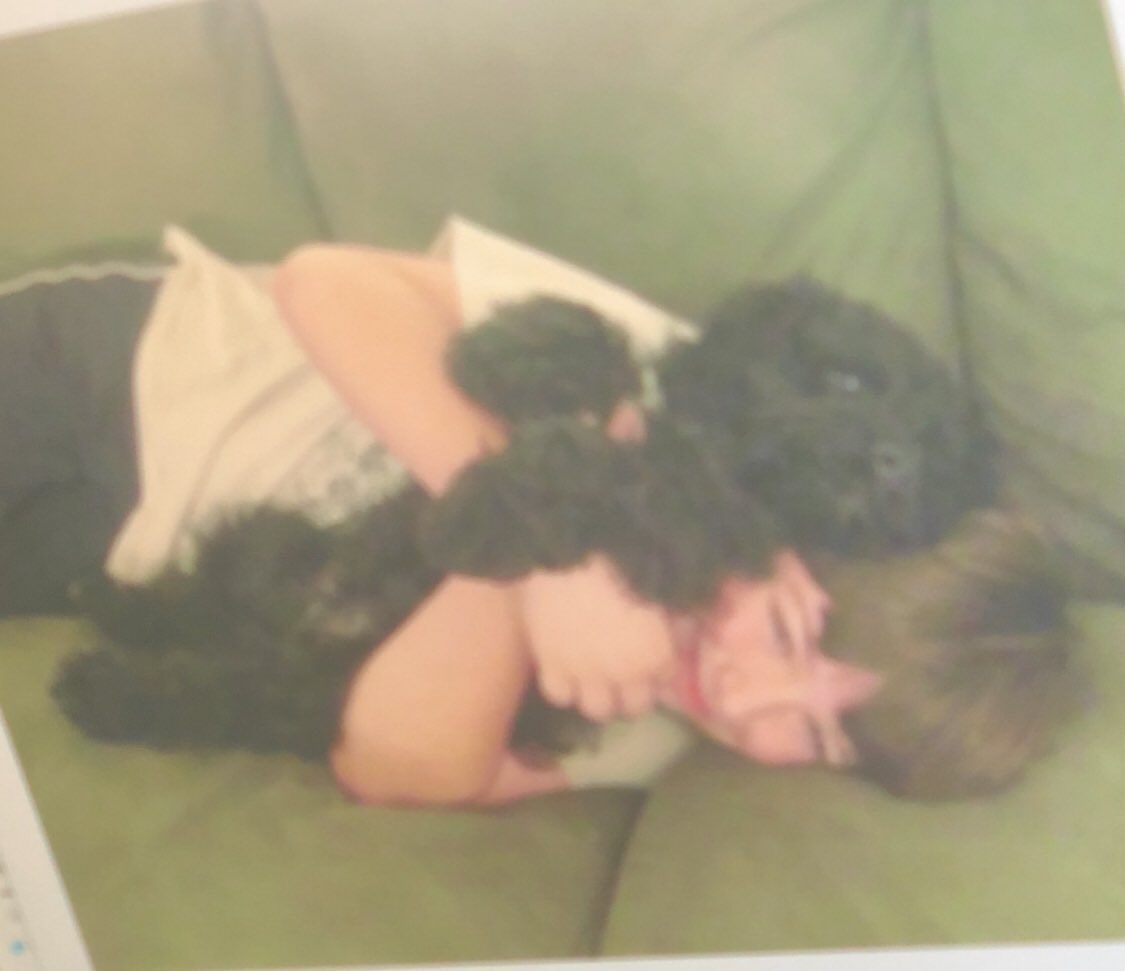 Rest In Peace Toby, gonna miss this little guy so much. I seriously couldn’t have asked for a better dog to grow up with, he had such an amazing personality and was so smart and always seemed to know what I wanted him to do, thanks for everything buddy 😢