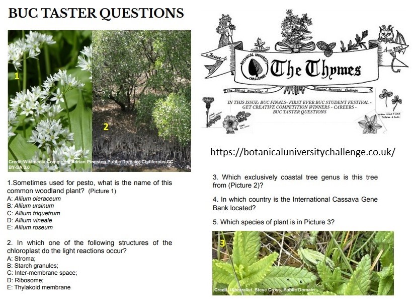 The Thymes, newsletter of Botanical University Challenge, also includes a few #quiz questions used in past contests for readers to try. Answers to these tomorrow! You can see past contests on our YouTube channel youtube.com/@BotanicalUniv… #BUC2024 will have lots more!