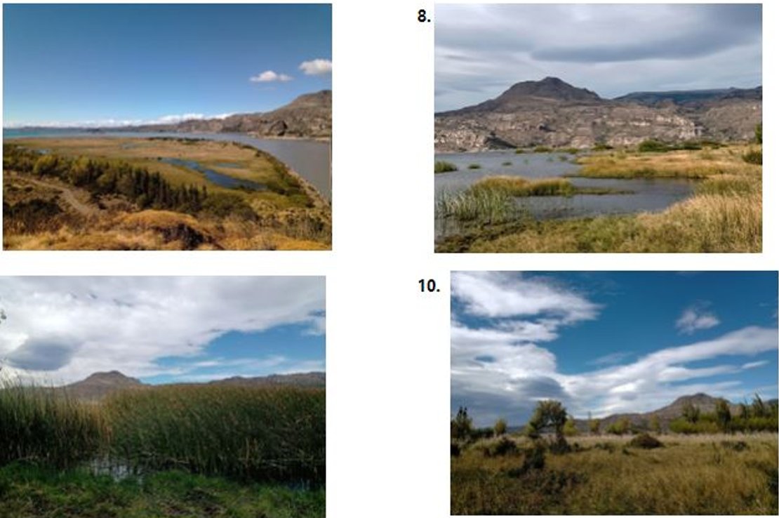 Chile Ambiental tweet media