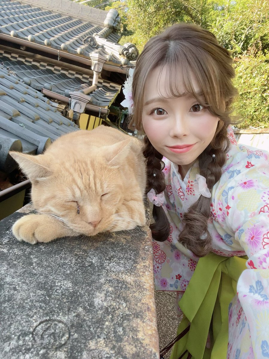 天気も良くて竹林での撮影楽しかった〜☀️ 猫ちゃんいたよ🐈！かわいい！