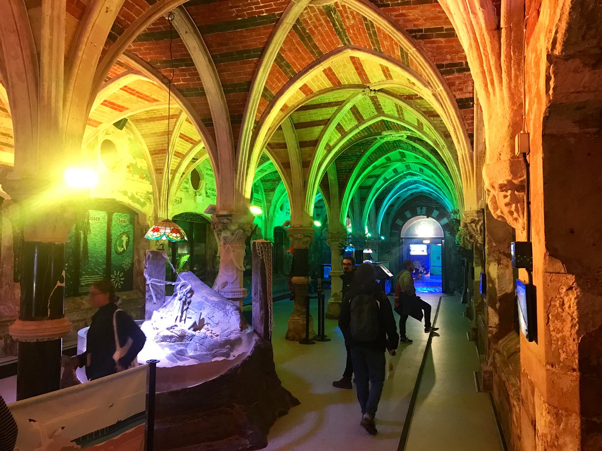 Chl0eMarine's tweet image. Belated #EEA2023 appreciation post! Thanks to @SharkTrustUK for a super inspiring event, full of elasmobranch (and chimaera!!) goodness 🦈🦈🦈 Bring on Greece 2024!