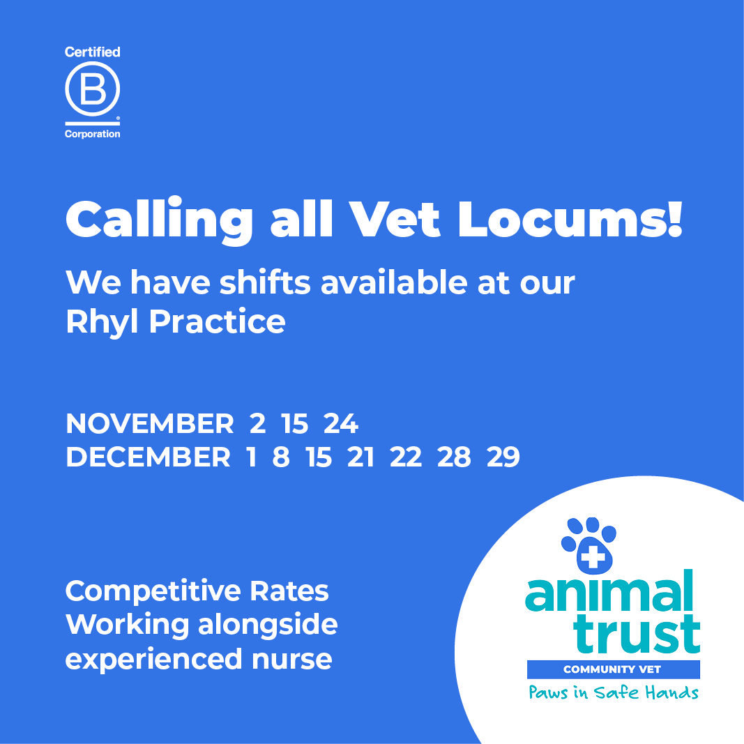 Animal Trust Vets tweet media