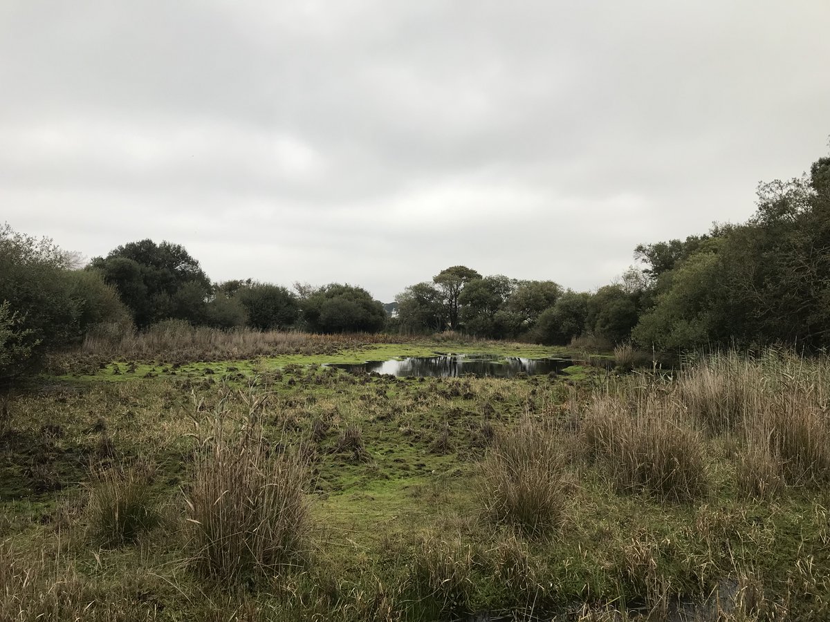 JPR Environmental tweet media