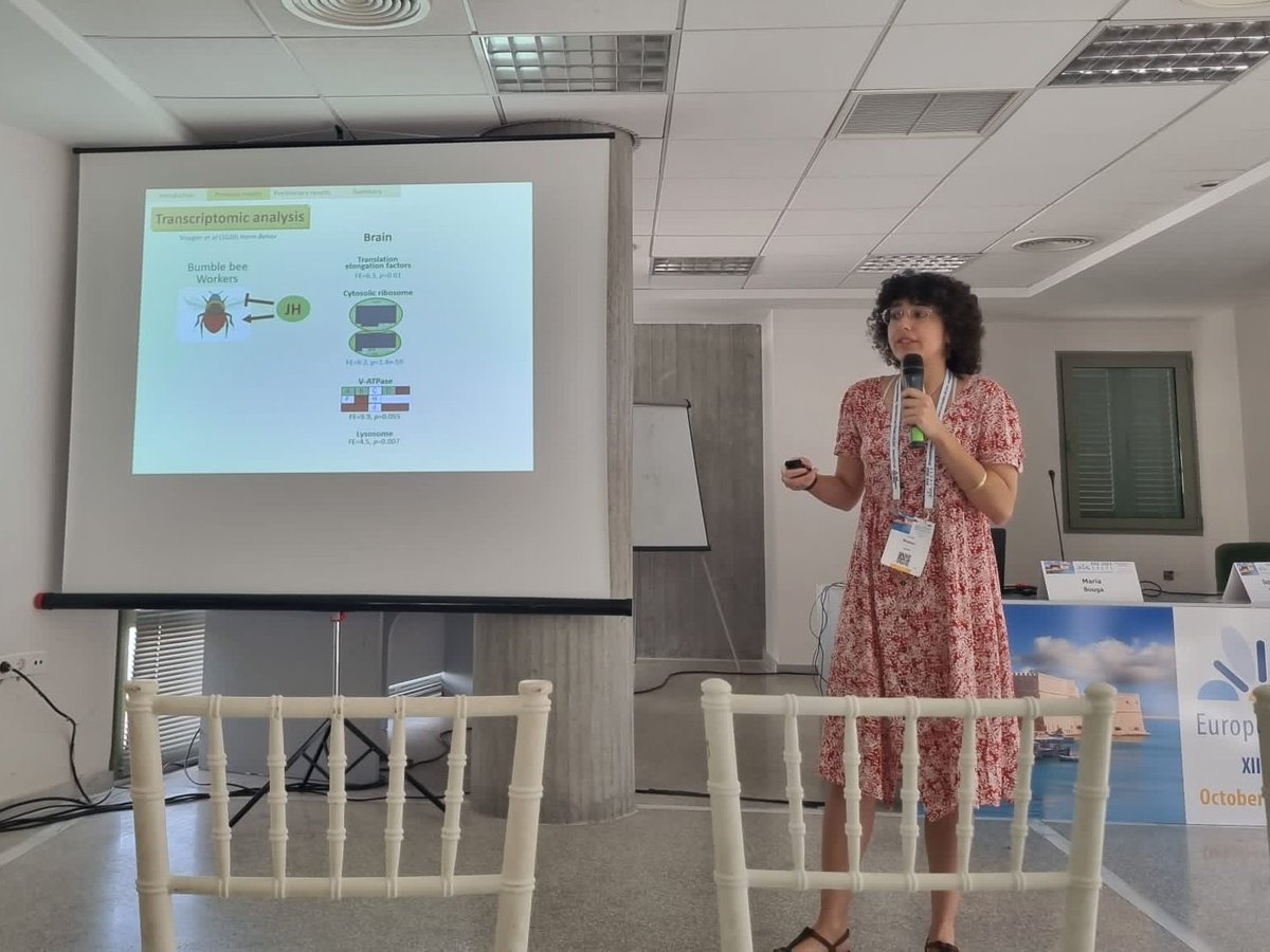 ShalYuval's tweet image. Finally safe at home in Jerusalem after 13 hrs of flights trains and buses. As I said at the end of my presentation, I want to thank the amazing #ECE2023 community for the warm hug and support all Israelis have received this week. ❤️🐝
 #apidology #entomology #bees