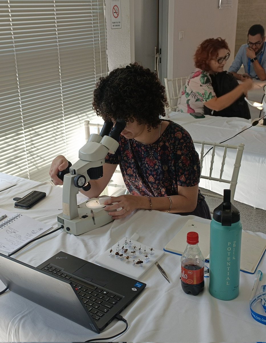 ShalYuval's tweet image. Finally safe at home in Jerusalem after 13 hrs of flights trains and buses. As I said at the end of my presentation, I want to thank the amazing #ECE2023 community for the warm hug and support all Israelis have received this week. ❤️🐝
 #apidology #entomology #bees