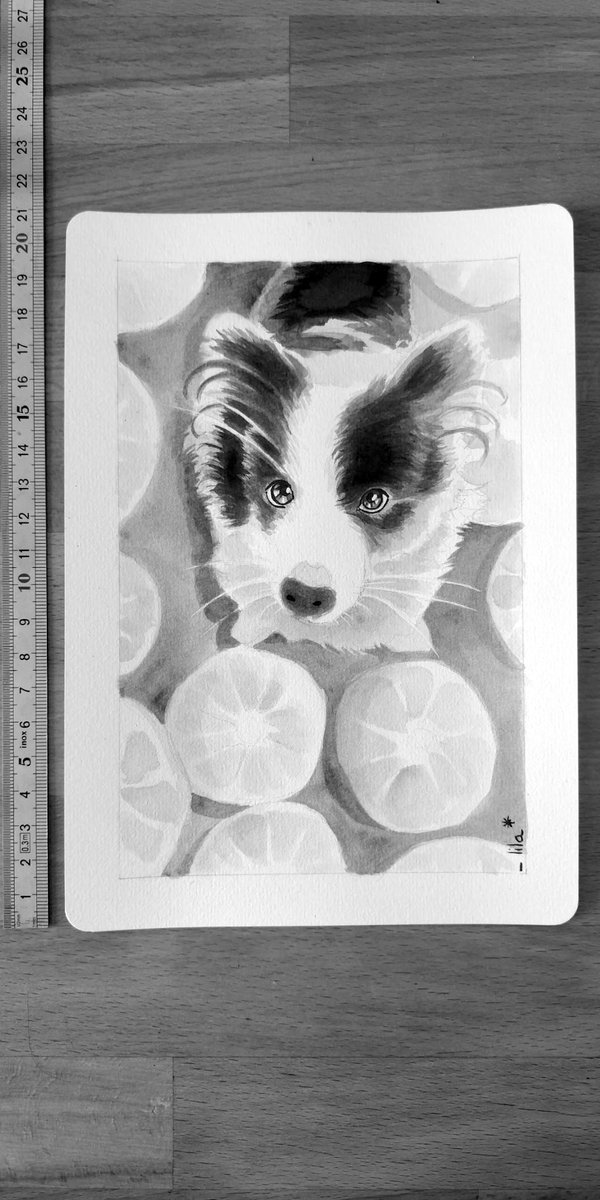 #22 Pumpkin.

#Inktober2023 #Inktober #Art