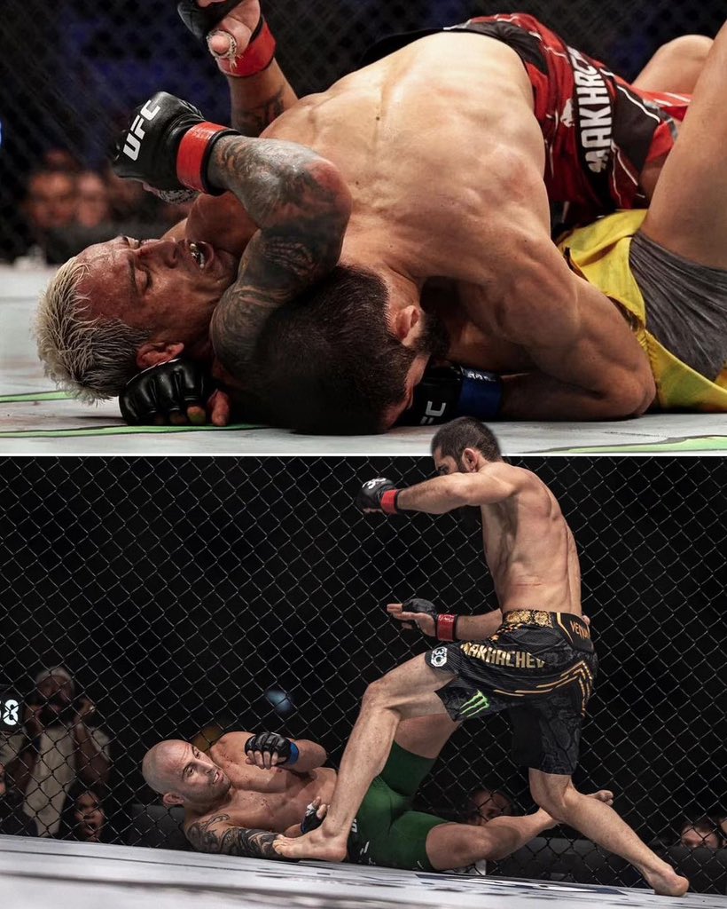 Rizvan Magomedov tweet media