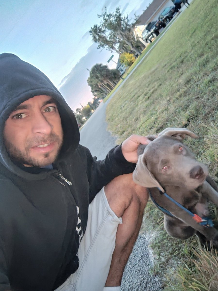 Morning vibes with blue 💙

Puppy #silverlab