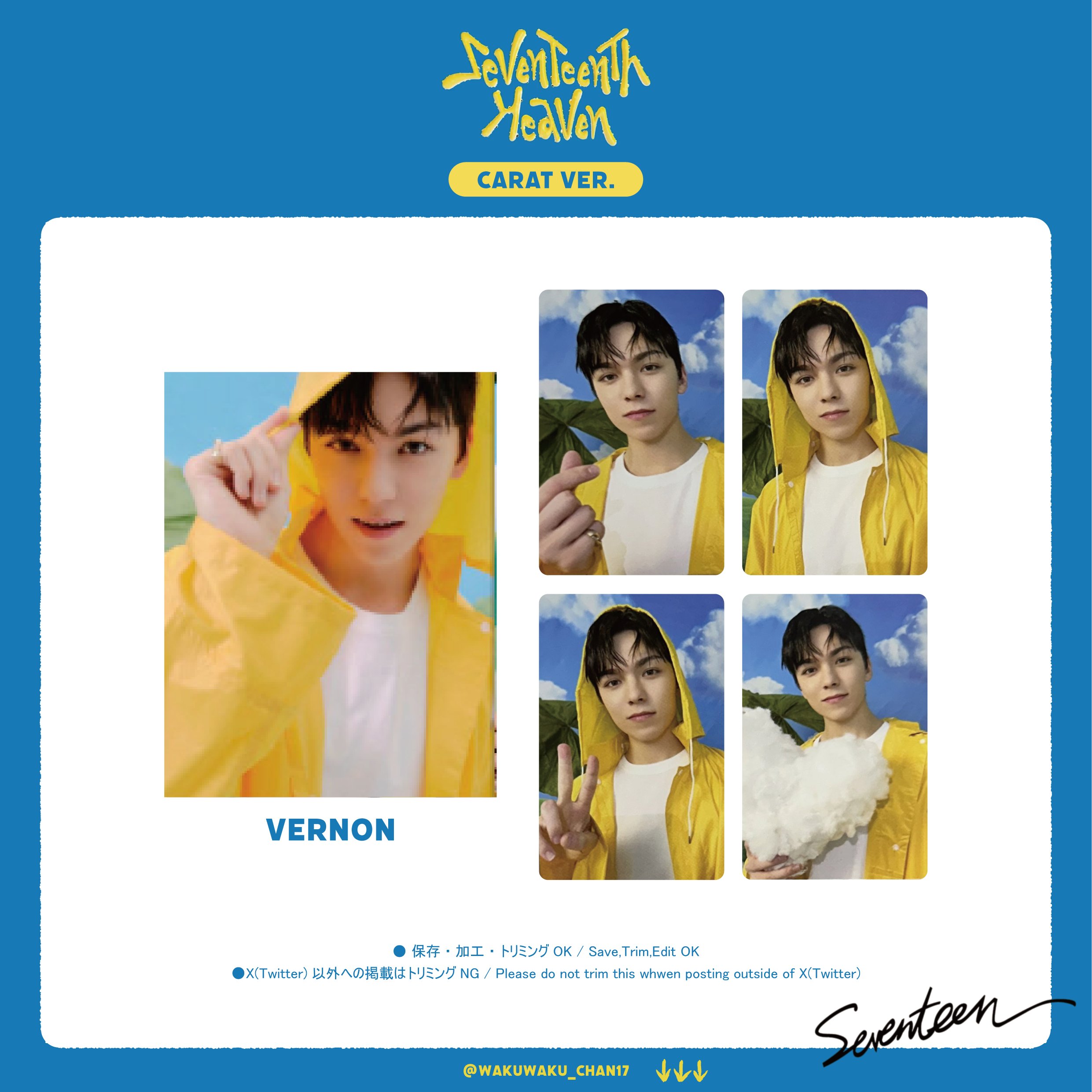 SEVENTEEN ウォヌ Heaven carat ver バインダー トレカ 28枚