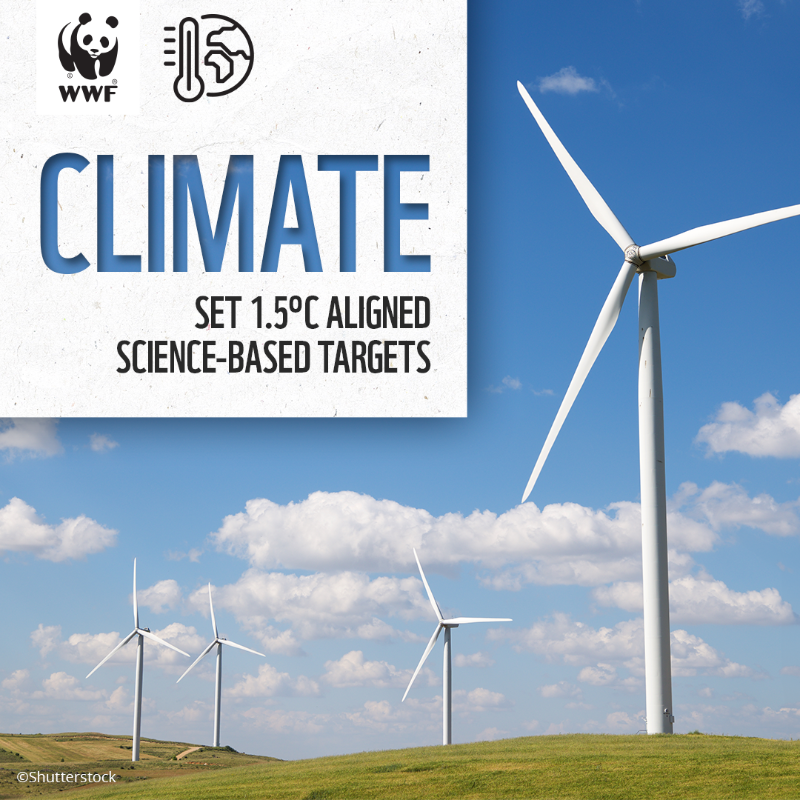 WWFCEE's tweet photo. How businesses can lead the way to more sustainable #foodsystems? Set up goals for 7 critical environmental issues.

Explore WWF's business-focused guidance on sustainable food systems in Central Europe here: https://t.co/W7Jll6TN2I