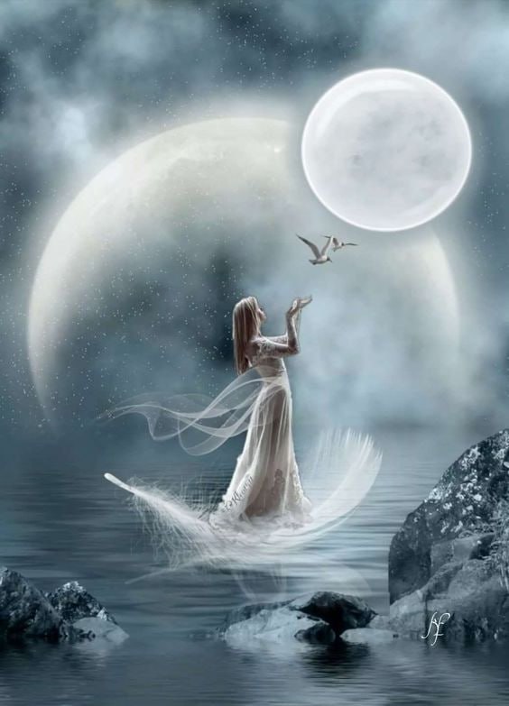 Ammeetabha's tweet photo. Today is #Moon Day

#Upayas for today:

🤍Wear white or silver clothes
🤍Accessorize with pearls or silver jewelry
🤍Drink water and milk from silver vessels
🤍#Meditate in the moonlight
🤍Respect your mother https://t.co/Oup6ui0u2Z