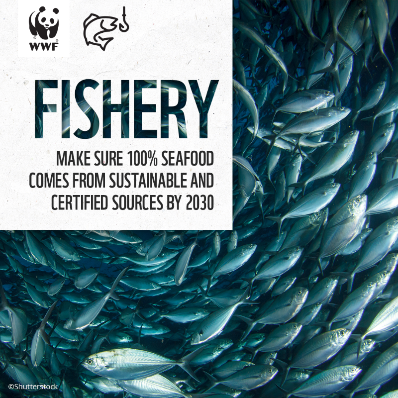 WWFCEE's tweet photo. How businesses can lead the way to more sustainable #foodsystems? Set up goals for 7 critical environmental issues.

Explore WWF's business-focused guidance on sustainable food systems in Central Europe here: https://t.co/W7Jll6TN2I