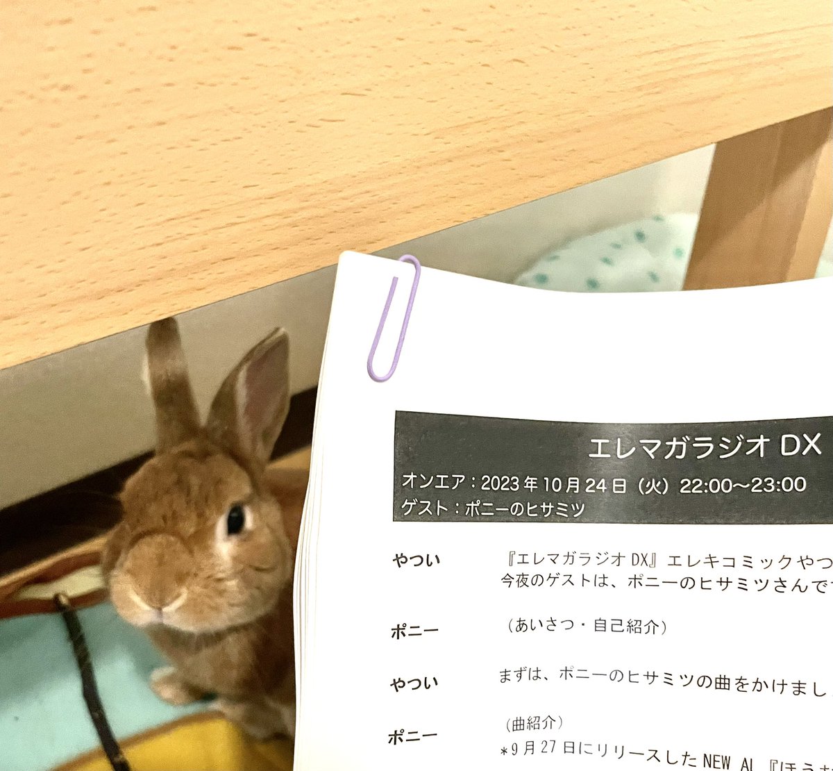 明日24日と翌週31日の22時から放送の、やついいちろうさん(<a href="/Yatsuiichiro/">やついいちろう</a>)の番組エレマガラジオDXに出演します！
生来喋りが苦手な私ですが、やついさんの話術に助けられ『ほうむめいど・かうぼうい』の話はもちろん、うさぎ、日本酒、美味しんぼと色々な話をしました。
ぜひお聴きください！