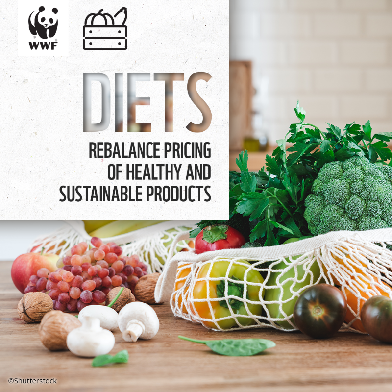 WWFCEE's tweet photo. How businesses can lead the way to more sustainable #foodsystems? Set up goals for 7 critical environmental issues.

Explore WWF's business-focused guidance on sustainable food systems in Central Europe here: https://t.co/W7Jll6TN2I