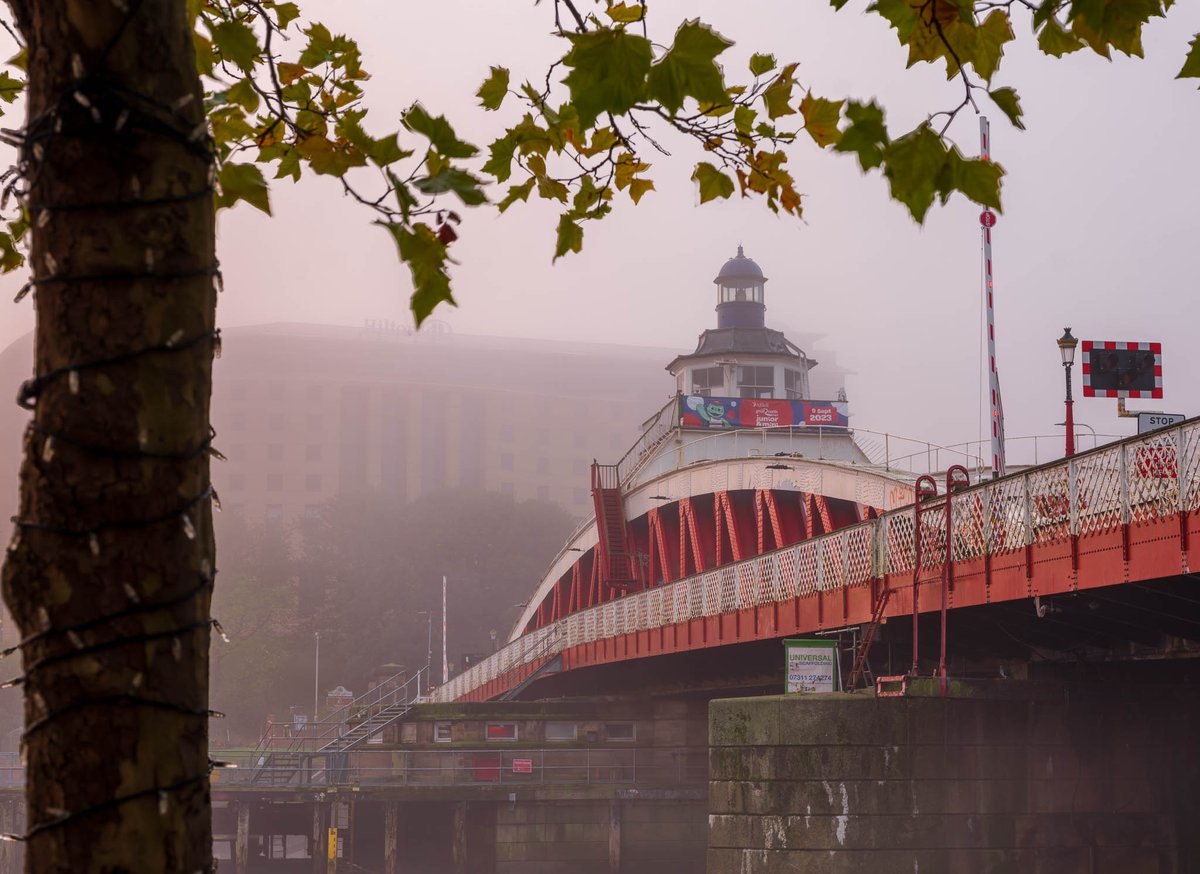 Today’s photography theme is MIST AND FOG

Show me your best MIST OR FOG Photo

👉Retweeting favs - Like and Retweet your favs

📷ONE PHOTO ONLY - NO LINKS  - OWN PHOTO ONLY

#rowcase #photographylovers